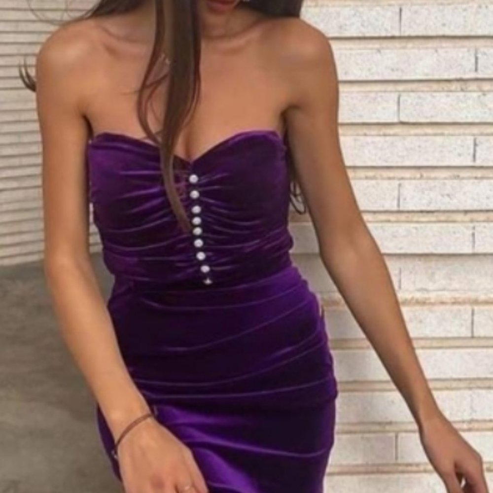 NWT Zara Velvet crop top